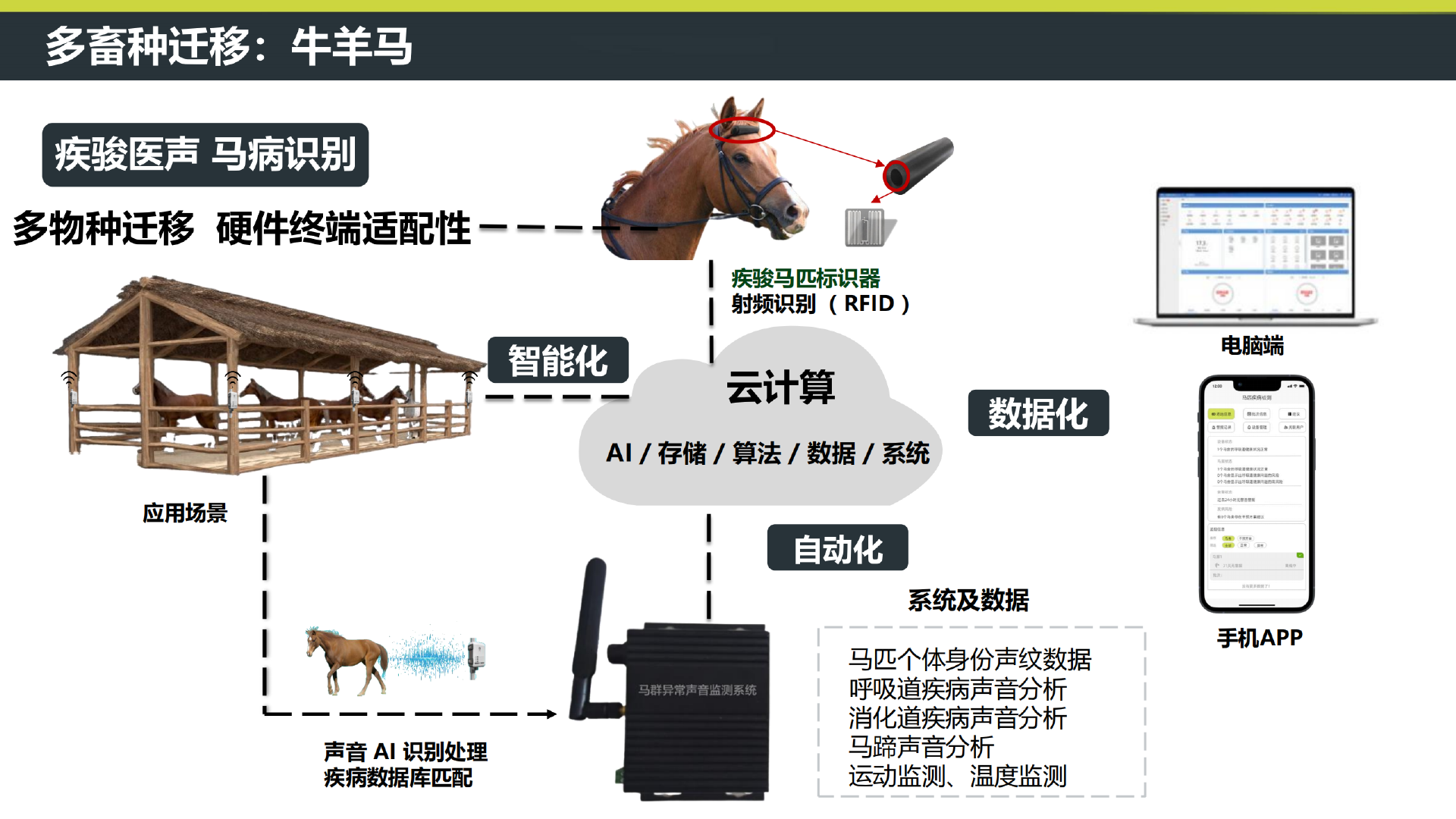 听得见声音健康 PDF 第18页